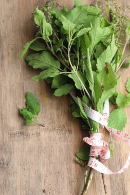 Ot taze fesleğen sebze