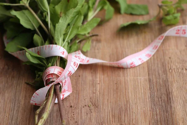Herb fresh basil vegetables — Stock Photo, Image