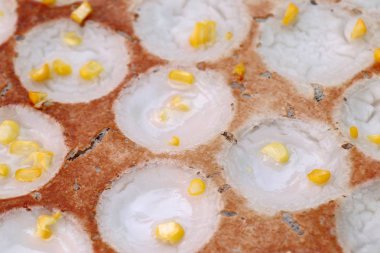 Hindistan cevizi sütü karıştırın şeker ve un