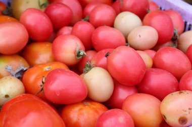 Pazarda taze domates