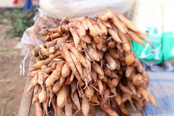 Racine de gingembre au marché — Photo