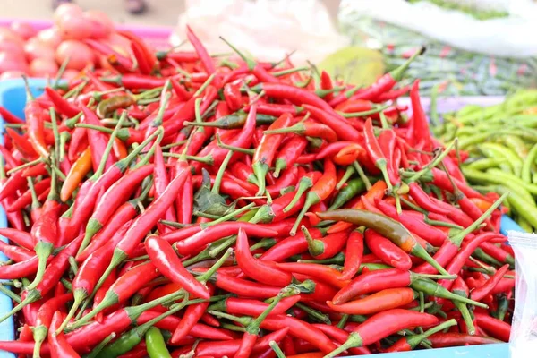 Verse Spaanse peper op de markt — Stockfoto