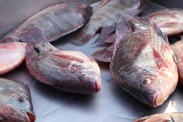 Pesce fresco al mercato — Foto Stock