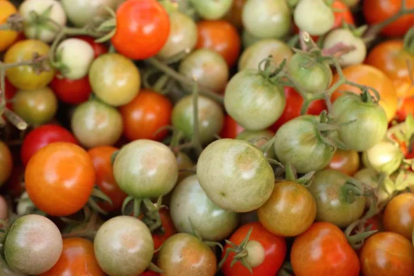 Tomaten auf dem Markt — Stockfoto