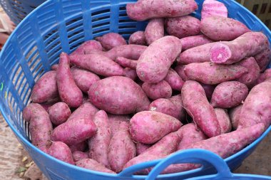 Tatlı patates sokak gıda