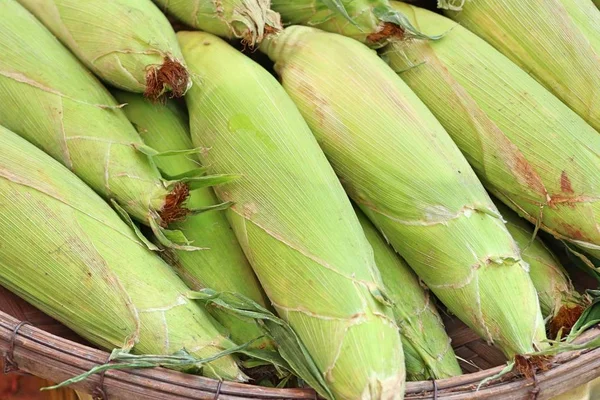 Maíz fresco en el mercado — Foto de Stock