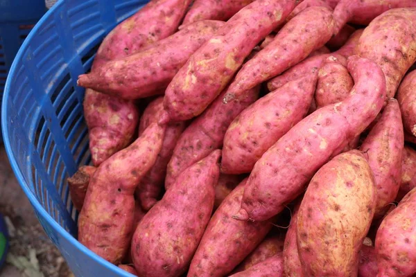 Słodki ziemniak o Sprzedawcy uliczni — Zdjęcie stockowe