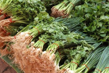 taze soğan ve kişniş Market