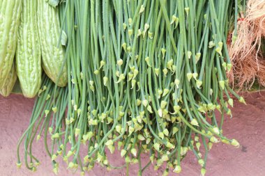 Taze soğan çiçek Market