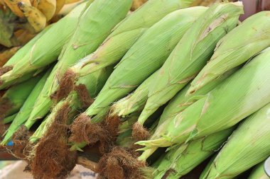 Markette taze Mısır