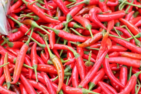 Fresh chilli at market — Stock Photo, Image