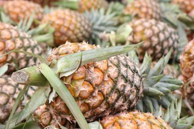  ananas Market                             