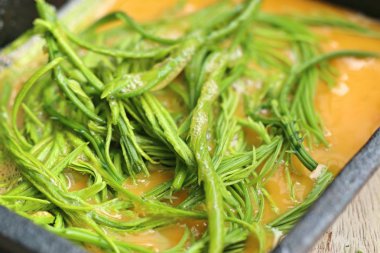 Akasya pennata yumurta ile