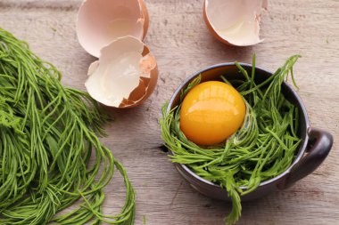 Akasya pennata yumurta ile