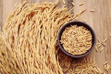 Paddy ve beyaz pirinç