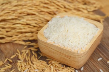 Paddy ve beyaz pirinç