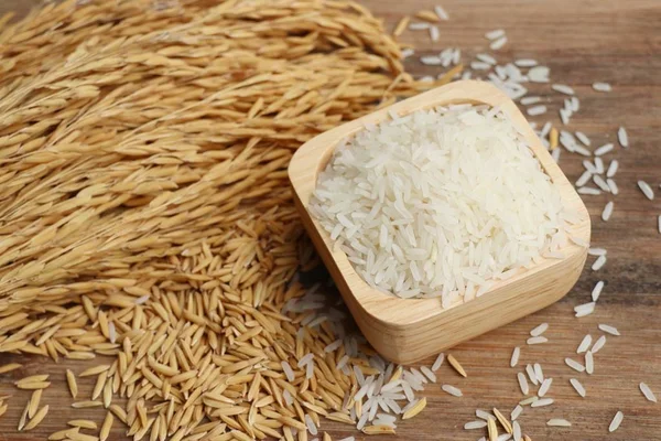 Paddy en witte rijst — Stockfoto