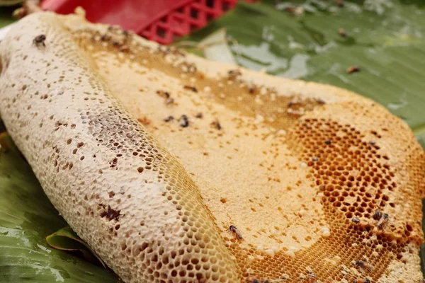 屋台の食べ物でハニカムします。 — ストック写真