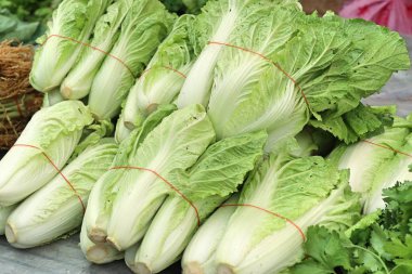 Çin lahanası Market