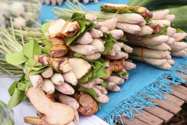 Limon otu ve havlıcan piyasada