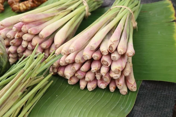 Lemongrass no mercado — Fotografia de Stock