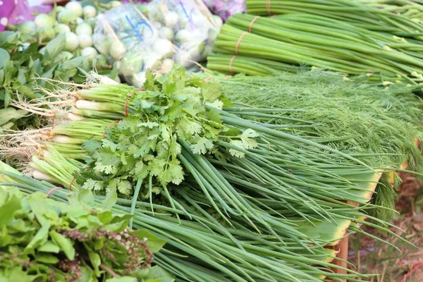 Spring onions and coriander at market