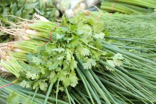 Spring onions and coriander at market — Stock Photo, Image