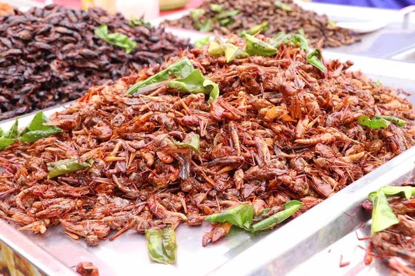 Gebakken Insect op straat eten — Stockfoto