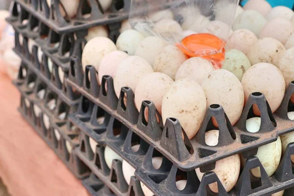 Weiße Eier auf dem Markt — Stockfoto