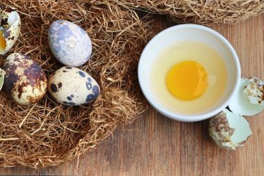 Yuvada bıldırcın yumurtası