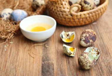 Yuvada bıldırcın yumurtası