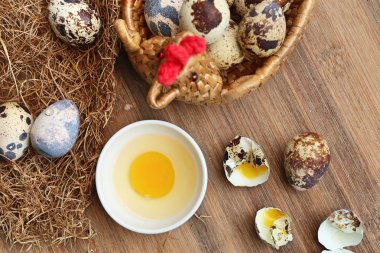 Yuvada bıldırcın yumurtası