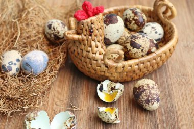 Yuvada bıldırcın yumurtası