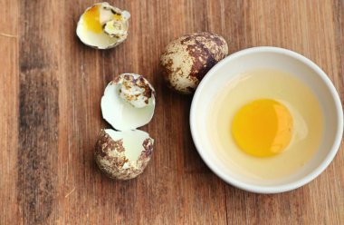 Yuvada bıldırcın yumurtası