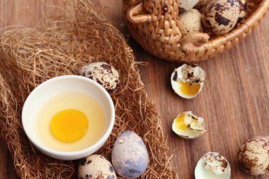 Yuvada bıldırcın yumurtası