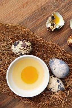 Yuvada bıldırcın yumurtası