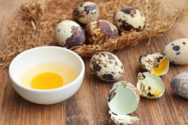 Yuvada bıldırcın yumurtası