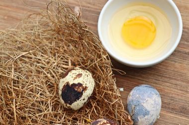 Yuvada bıldırcın yumurtası