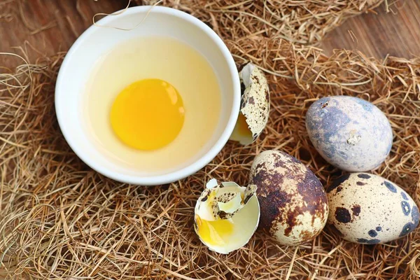 Yuvada bıldırcın yumurtası