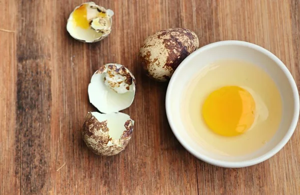 Yuvada bıldırcın yumurtası