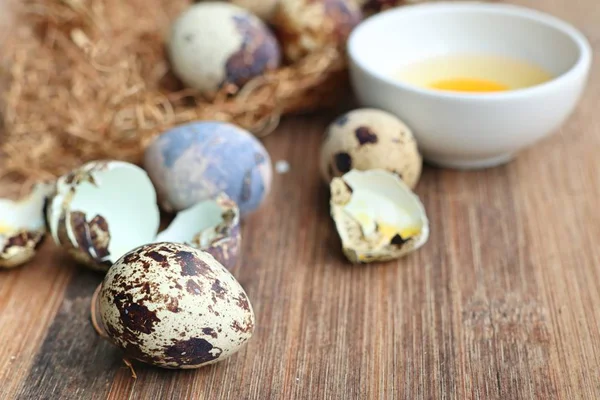 Ouă de prepeliță în cuib — Fotografie, imagine de stoc
