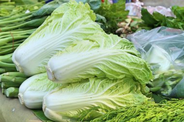 Çin lahanası Market