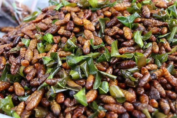 Insecto frito en la comida callejera —  Fotos de Stock