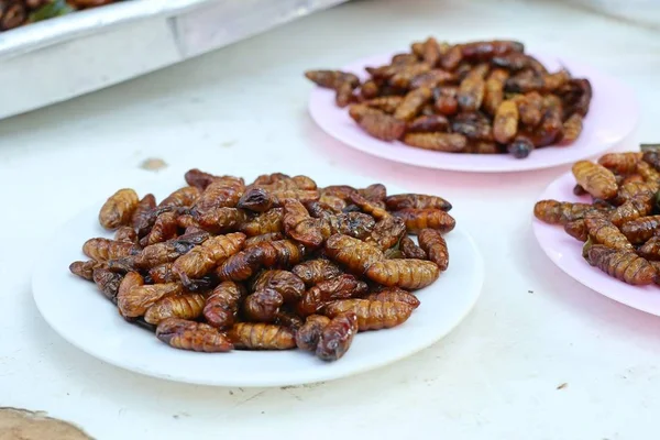 Insecto frito en la comida callejera — Foto de Stock