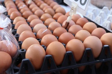 kahverengi yumurta içinde belgili tanımlık çarşı