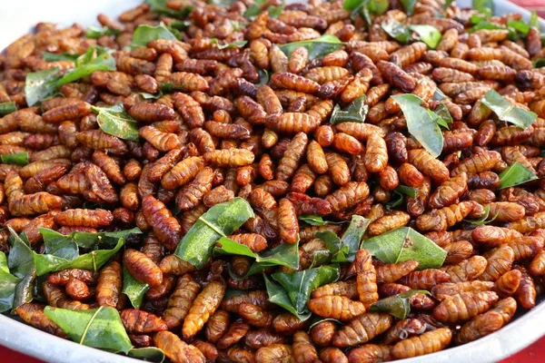 Insecto frito en la comida callejera — Foto de Stock