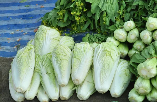 Chinese cabbage at market — Stock Photo, Image