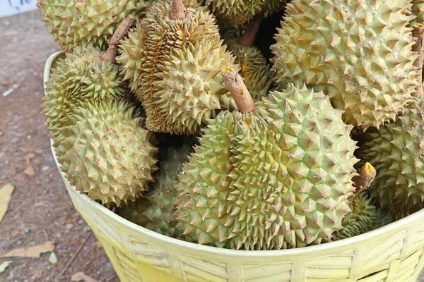 Durian fruit op straat eten — Stockfoto