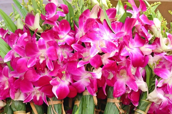 Flores de orquídea púrpura en el mercado —  Fotos de Stock