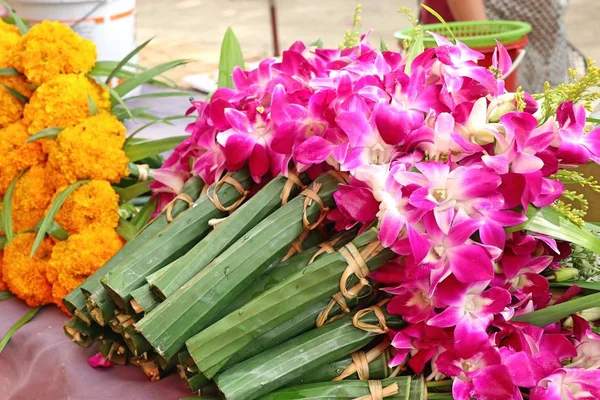 Lila orkidé blommor på marknaden — Stockfoto